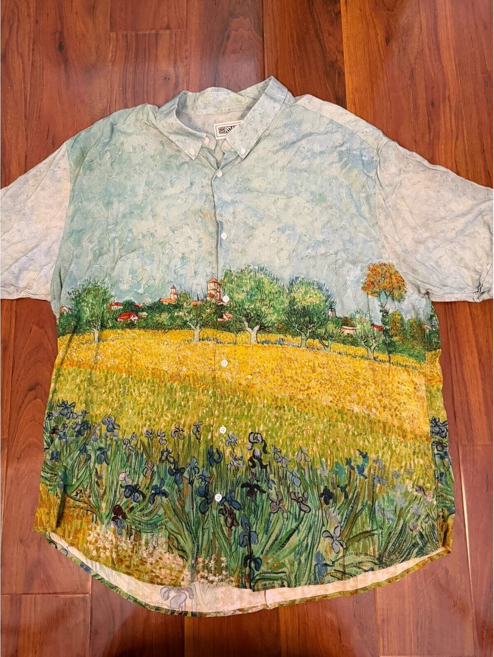 RSVLTS Van Gogh Museum Series Field With Irises Near Arles Button-Up Shirt 3XL